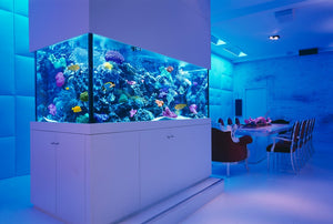 Roles that aquarists play in the success of their aquariums