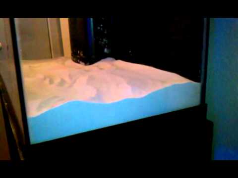 How to select proper sand for your aquarium