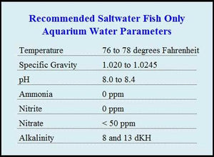 Saltwater Parameters that are essential for successful aquariums