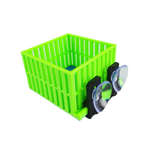 Nano Mushroom Basket