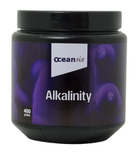 Alkalinity 400g (Powder)