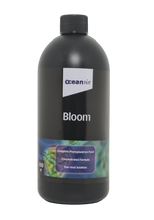 Bloom 500ml