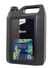 Bloom 5L