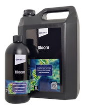 Bloom 5L