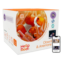 Clownfish & Anemone Aquarium Kit