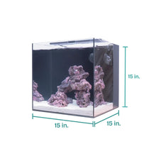 Clownfish & Anemone Aquarium Kit