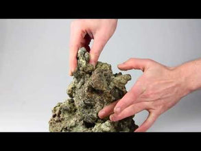 REEF CEMENT