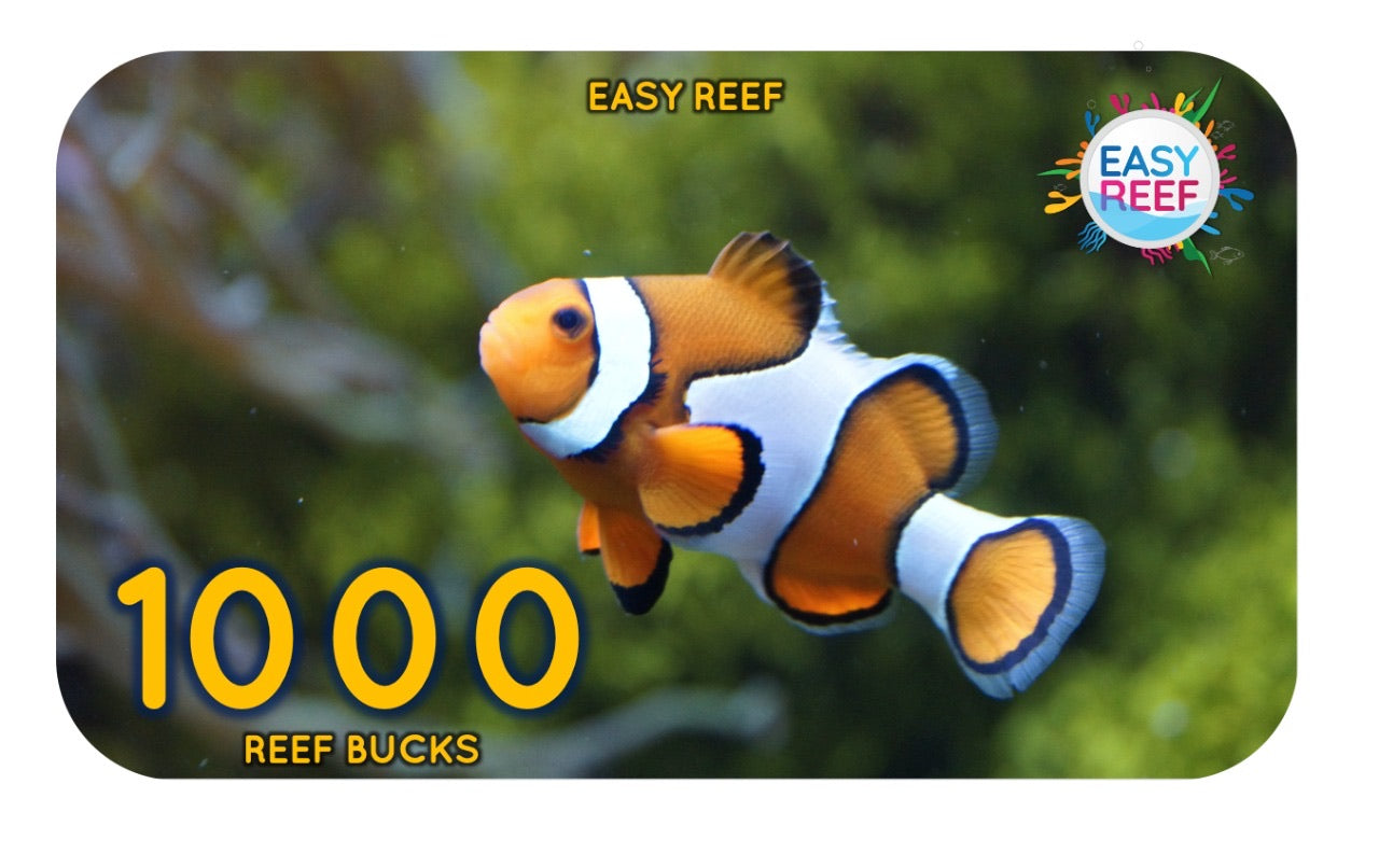 Easy Reef Bucks Gift Card